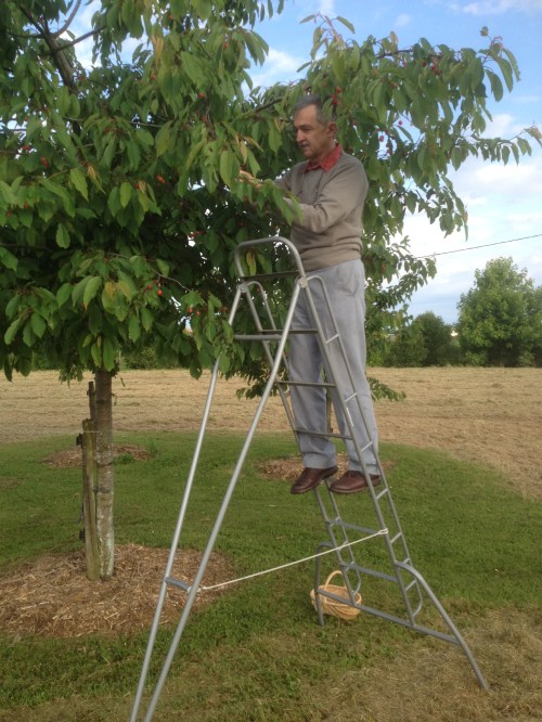 jardin debut juin 003