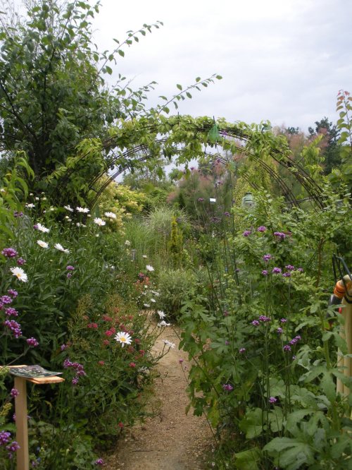 412382_212477455511638_1779228686_o