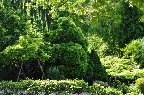 Moulin-de-la-Souloire-juillet-2012-0277--Copier-
