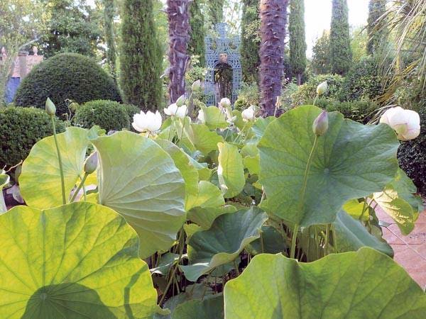 final-draft-2017-garden-tour