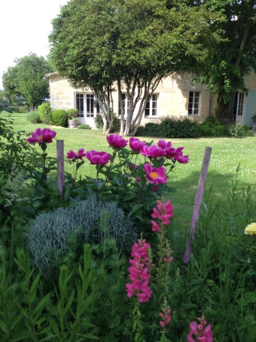 La Forge pivoines.jpg